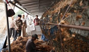 Muba Garap Pabrik Pengolahan Sabut Kelapa Jadi Jok Mobil Hingga Springbed