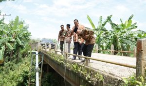 Khawatir Bakal Ambruk, Pj Bupati Apriyadi Cek Jembatan Desa Tanjung Agung Lais