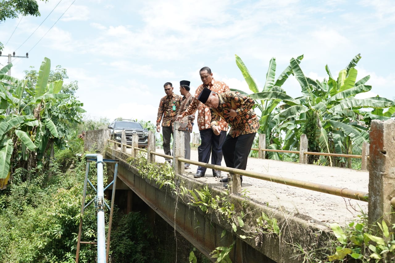 Khawatir Bakal Ambruk, Pj Bupati Apriyadi Cek Jembatan Desa Tanjung Agung Lais