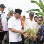 Apriyadi Carikan Solusi Agar Sawah di Muba Tidak Banjir