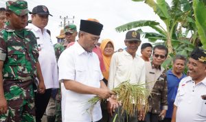 Apriyadi Carikan Solusi Agar Sawah di Muba Tidak Banjir