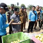 Kawasan Hutan Dangku Muba Dikelola Sangat Baik