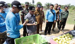 Kawasan Hutan Dangku Muba Dikelola Sangat Baik