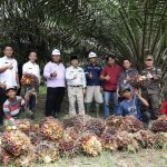 Apriyadi Buka Peluang Investor Garap Pabrik Minyak Goreng di Sungai Lilin