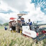 Bupati OKUT Panen Raya Bersama PT Agricon Indonesia