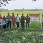 Pemerintah Desa Suka Maju dan BPD Gelar Titik Nol Pembangunan Talut Jalan Usaha Tani