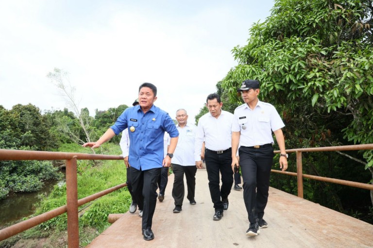 Berkat Gubernur Sumsel, Mimpi Warga Desa Saluran Banyuasin Selama 30 Tahun untuk Nikmati Listrik Segera Menjadi Kenyataan 