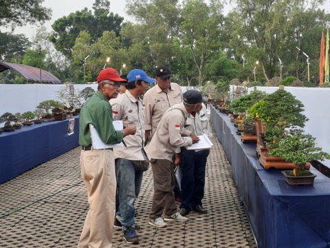 551 Pohon Bonsai Mulai di Pamerkan Di Taman Tani Merdeka