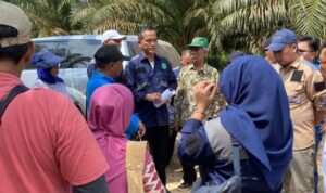 Tuntaskan Permasalahan, Tim Gabungan Survei Langsung Lokasi Lahan Plasma di Desa Gajah Mati Muba