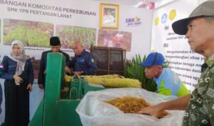 Produksi Rokok dari Talas Beneng, SMK Pertanian Lahat Ini Pasarkan Sampai ke Jawa Tengah