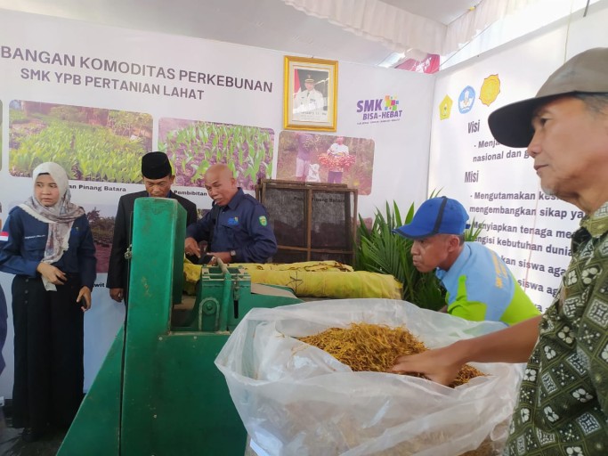 Produksi Rokok dari Talas Beneng, SMK Pertanian Lahat Ini Pasarkan Sampai ke Jawa Tengah