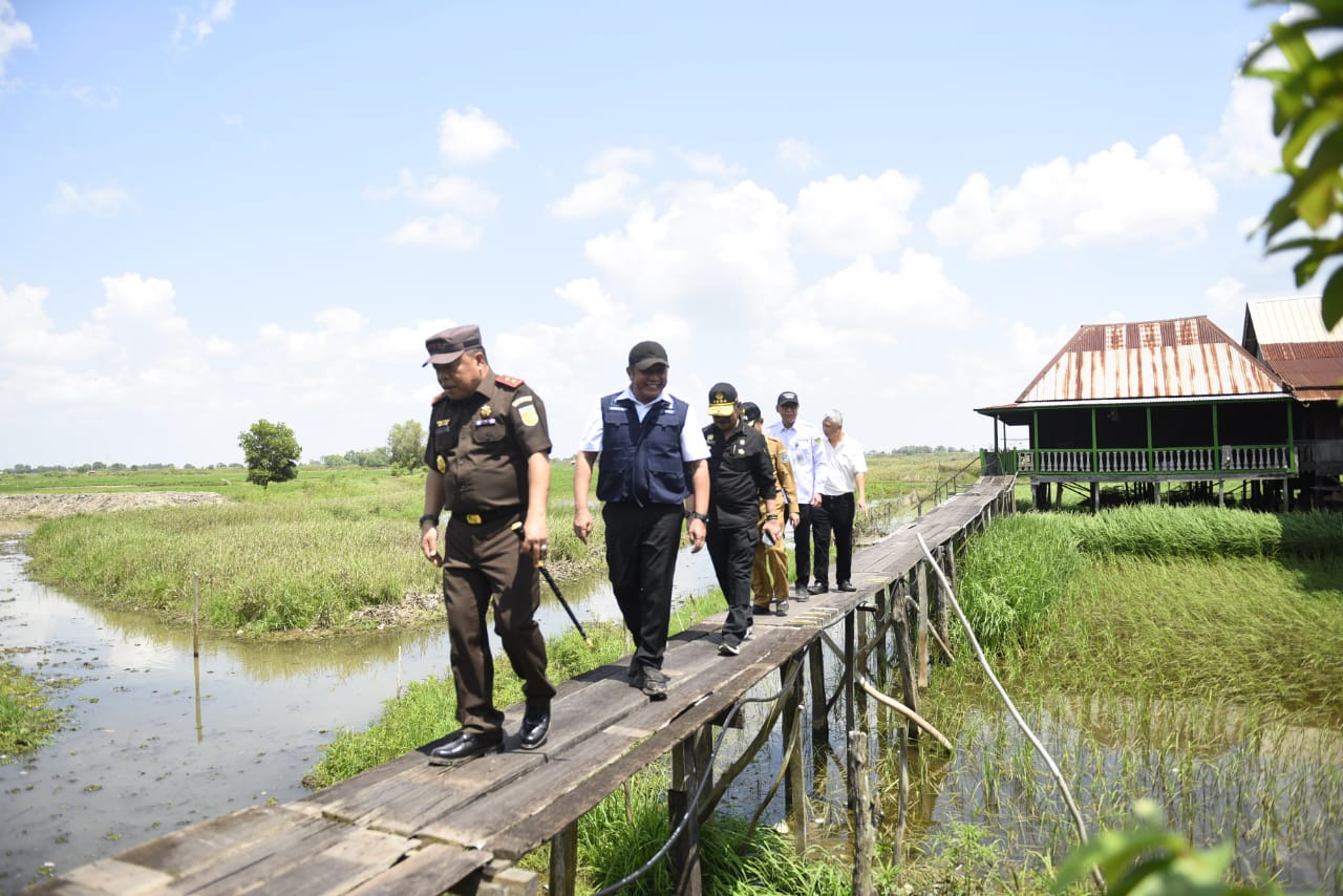 Tambah Luas Tanam Sawah, Mentan RI Yakin Semakin Kuatkan Sumsel Sebagai Lumbung Pangan Negara