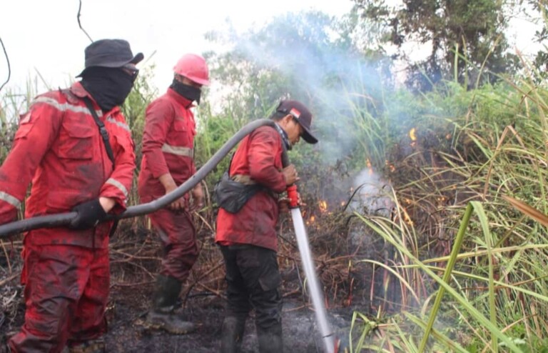 Hotspot Agustus Tertinggi di Sumsel