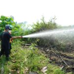 Bareng Petugas BPBD, Pj Bupati Apriyadi Padamkan Karhutlah di Dusun Lame