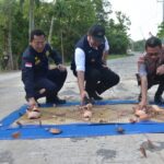 Gubernur Resmikan Akses Jalan Penghubung OKU Timur – OI Sepanjang 68 KM