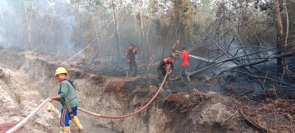 Dianggap Kirim Asap Karhutbunlah ke Kota Sekayu, PT IAM Buka Suara