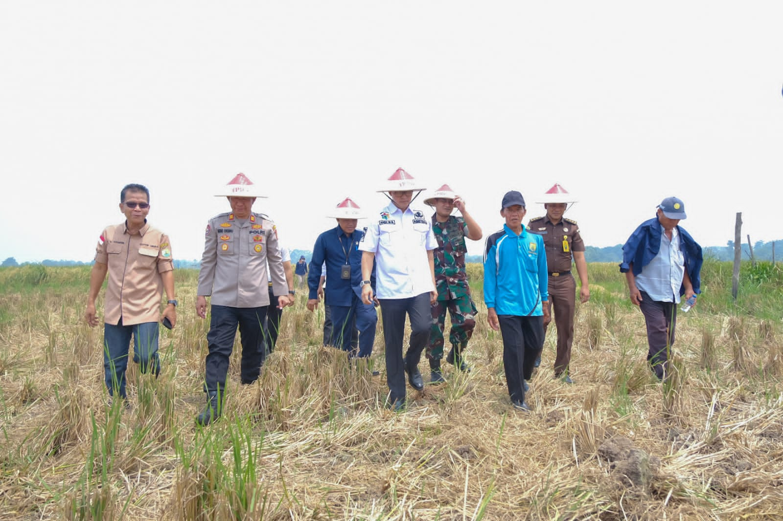 Sinergi TNI Jaga Ketahanan Pangan, Optimalkan Lahan Tidur Jadi Produktif