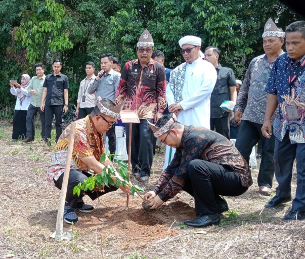 Pohon Gaharu Bakal Jadi Icon Baru Sumsel