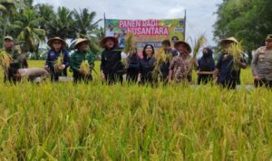 Bupati Okut H Lanosin Ikut Langsung Panen Raya Nusantara Satu Juta Hektare