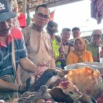 Pj Bupati Banyuasin Sidak Beberapa Pasar Kecamatan Di Kabupaten Banyuasin Menjelang Hari Raya Idul Fitri 1445 H