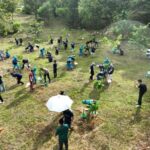 Green Mining, Tanam Pohon Bersama di Lahan Bekas Tambang