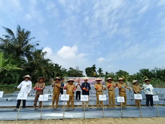 Tekan Inflasi, Dukung Gerakan Tanam Cabai dan Bawang Merah Serentak