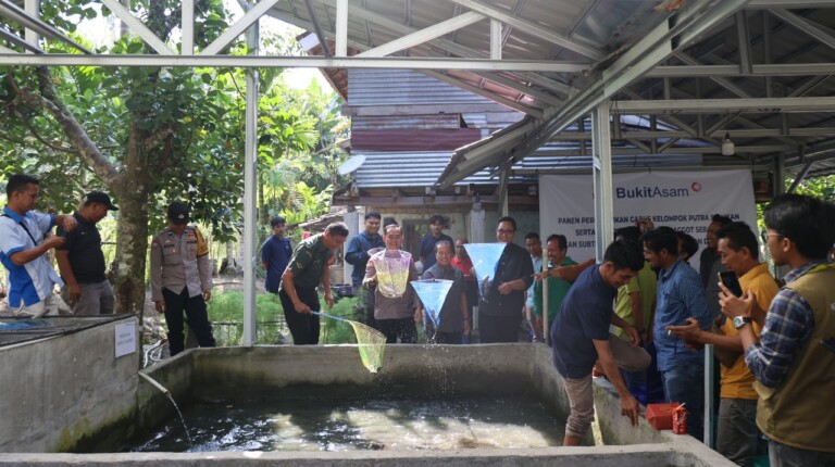 Perluas Lapangan Kerja, Dorong Budidaya Ikan Gabus