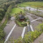 Kembangkan Lahan Basah Buatan untuk Pemulihan Lingkungan