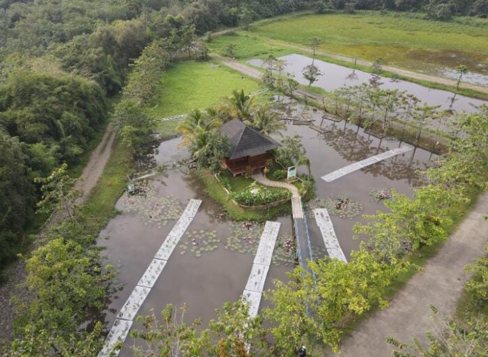 Kembangkan Lahan Basah Buatan untuk Pemulihan Lingkungan