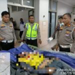 Pengemudi Ojol Tewas Ditabrak Truk