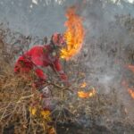 Sudah 12 Daerah di Sumsel Terjadi Karhutla