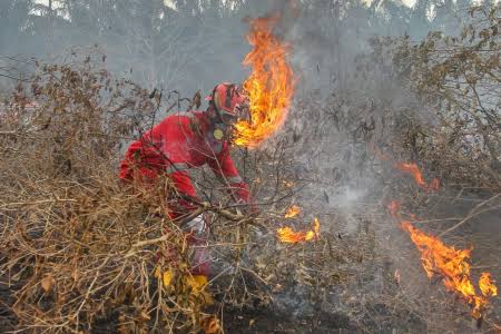 Sudah 12 Daerah di Sumsel Terjadi Karhutla